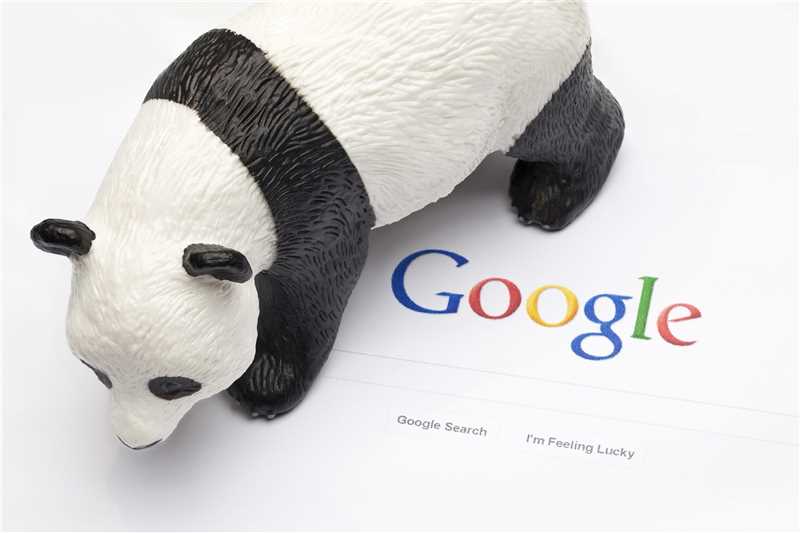 Как работать с Google Panda: основные принципы оптимизации сайта