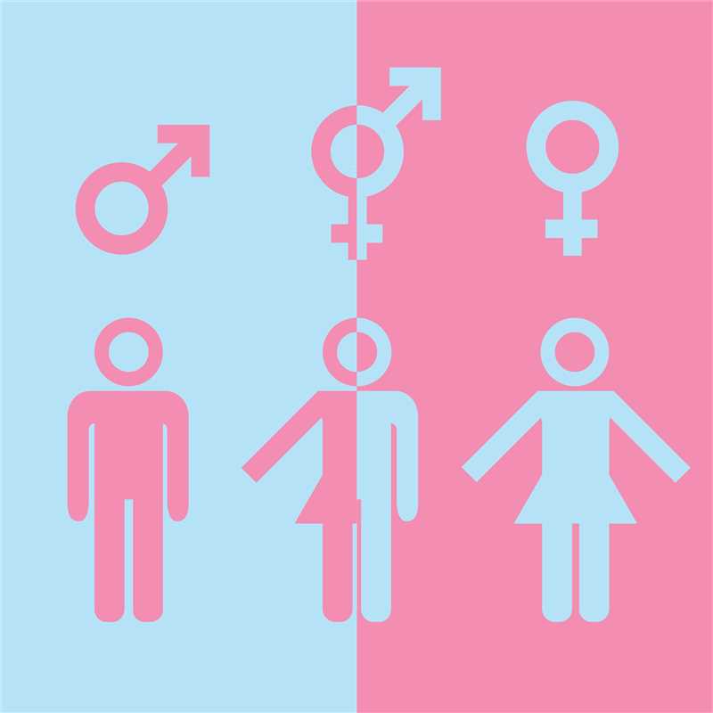 ТикТок и гендерный маркетинг: создание равноправных кампаний